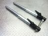 2042672 2042673 Triumph Speed Triple Oem Fork Tubes Front Suspension Axle Bolt