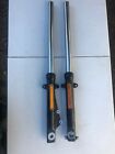 45400030 45400031 Harley Street Front Fork Assembly Complete Tube