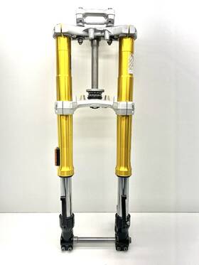 31428554115 Bmw 2017-2024 G310r G 310 R Left Right Fork Tube Damper Triple Tree Suspension
