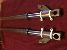 Gd051-l Gd051-r Ducati 916 Oem