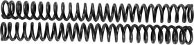 890-01250 Harddrive Scepter Option Spring Standard 39mm