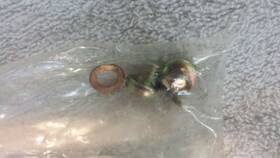 46495-02a Harley-davidson 46497-02/46495-02a Fork Lower Legs Drain Bolt And Washers Flht Electra Glide