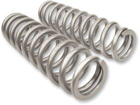 79-13816 High Lifter Front Lift Springs