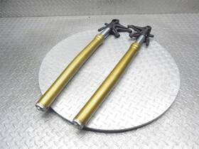Ftr1200s Indian 1824735 2019 19-20 Ftr 1200 Front Fork Tubes Left Right Bent