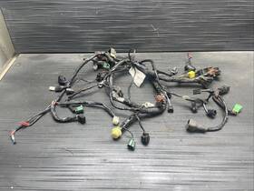 67-7978 Kawasaki 2004 Suzuki Hayabusa Busa Forks Front Suspension Fork Tubes #91324 67-7978 Kawasaki 2004 Suzuki Hayabusa Busa Forks Front Suspension Fork Tubes #91324