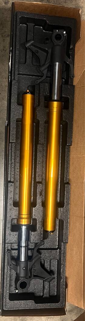 Fgrt-219 Ohlins Ohilns R1/r1m/r1s Complete Forks Set