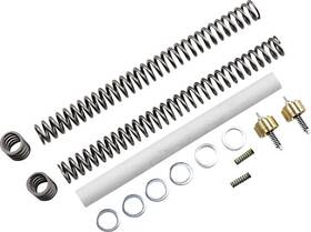 F55s9883hw Race Tech Rt Gold Valve Front Fork 1kg Lowering Kit Kawasaki Ninja 1000 86-87