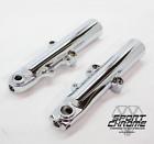 Sprt-49chr Chr Repl 45600003 45800023