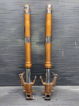 456-68969 Suzuki 1999 Tl1000r Front Forks Suspension Fork Tubes #22225