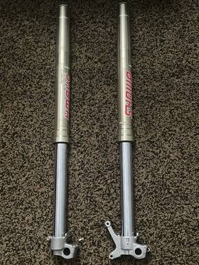 51103-35g20 Suzuki 2005-2007 Oem Rmz450 Rmz 450 Front Fork Shock Absorber Suspension Set
