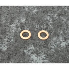 A-45406-75 V-twin Manufacturing Damper Tube Washers -