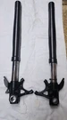 Oem Ducati V4 Forks Straight-never Crashed 34521171A And 34421171A. Fixed Price $600.00.