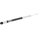 Ohlins 0413-0160 Fks 228 Fork Cartridge Kit 736 Mm NIX22. Fixed Price $1263.90.
