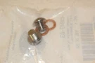 Harley Davidson Oem Lower Legs / Sliders Chrome Drain Screws Kit 45848-03. Fixed Price $9.09.