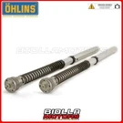 Fgk 212 Fork Cartridge Ohlins Bmw HP4 2014 - 30 Mm. Fixed Price $1802.02.