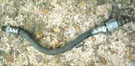 19HONDA Silverwing Front Fork Connecting Hose Tube Stabilazer #2. Fixed Price $30.00.