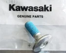 Kawasaki Oem Engine Kick Start Lever Mounting Bolt For KX250F, KX450F, KLX450R. Fixed Price $7.95.
