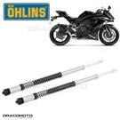 Kawasaki ZX-25R Ninja 2020- Cartridge Ohlins 21944-02. Fixed Price $1217.27.