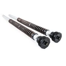Front Fork Cartridge Kit Hlins NIX22 Touring. Fixed Price $2218.30.