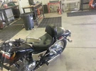 Honda Rebel 250 Drivers Backrest Quick Release No Tools. Fixed Price $89.00.