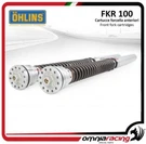Fork Cartridges Ohlins Ttx FKR100+SPRINGS Aprilia RSV4RF Factory (FL930) 2017. Fixed Price $2357.00.