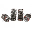 Triumph Trident T150 T160 Valve Spring Set Brand New British Made 99-9954. Fixed Price $36.20.