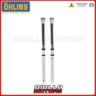 21944-02 Fork Cartridge Ohlins Kawasaki ZX-25R Ninja 2020. Fixed Price $1460.54.