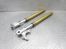 2020 17-20 Aprilia Tuono V4 1100RR Front Left Right Fork Suspension Damper Tube. Fixed Price $457.84.