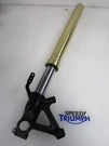 Triumph Tiger 1050 Right Side Front Fork 2007 To 2012 T2045230. Fixed Price $282.09.