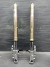 2000 Kawasaki Ninja ZX12R Front Forks, Tubes, Suspension #112025. Fixed Price $175.00.
