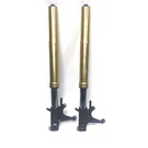 Front Fork Shock Suspension Assy Honda CBR1000RR 2008-2011 2009 2010. Fixed Price $577.77.