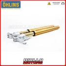 Fgrt 231 Fork Ohlins Ducati V2 Panigale 2021 - R&t 43 Nix. Fixed Price $4204.81.
