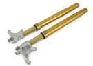 Ohlins Complete Forks Ducati 959 Panigale 2016-19. Fixed Price $3079.60.