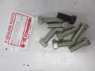 New Genuine Oem Kawasaki Bolt (8) 113G1028. Fixed Price $33.99.