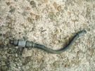 1981 1982 Honda GL500 Silverwing Oem Front Fork Connecting Hose 53137-461-003. Fixed Price $25.49.