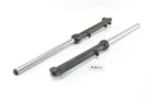 Honda 50 1979 - Fork Tubes Shock Absorbers A67F. Fixed Price $115.10.
