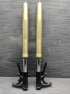2011 Kawasaki Ninja ZX14 Front Fork Tubes #61126. Fixed Price $300.00.