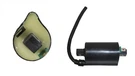 Motorcycle Ignition Coil Fits Suzuki Uh 200 Burgman 2014. Fixed Price $29.30.