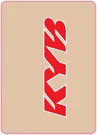 D'cor Visuals Red Kyb Upper Fork Decals 2-PACK (40-80-123). Fixed Price $25.77.