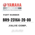 Yamaha Genuine Oem Parts .valve Comp. BR9-2316A-20-00 For YZ450F. Fixed Price $274.92.