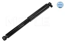 Meyle 726 725 0019 Shock Absorber Rear Gas Pressure Twin Tube Fits Ford Transit. Fixed Price $46.52.