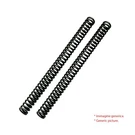 Ohlins Fork Springs Honda Cb 900F Hornet 2002 2003 08686-85. Fixed Price $154.84.