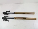 2013 Triumph Tiger 1215 Explorer Straight Front Fork Leg Set - Read T2041510. Fixed Price $697.49.