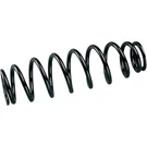 Quadboss WE321520 Suspension Springs Heavy-duty Rear. Fixed Price $98.94.