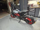 Rear Luggage Rack Rail Passenger For 2019-2024 Indian Ftr 1200 Black. Fixed Price $222.30.