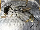 1972-75 Suzuki TC125, Wiring Harness #36610-28610. Fixed Price $34.95.