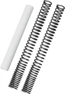 Burly Fork Spring Kit #B28-1100 Fits Honda CMX1100A Rebel 2021-2022. Fixed Price $116.95.