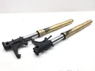 Front Forks Tubes Legs 2005 Honda CBR600RR 3405 X. Fixed Price $395.44.