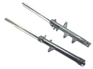 2015 Suzuki GW250 Inazuma Front Fork Shock Left & Right Pair Oem. Fixed Price $299.00.