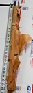 #51110-45100. Suzuki. Inner Tube. Nos. Fixed Price $207.27.